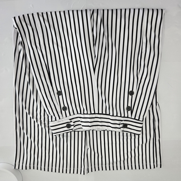 Robert Louis Monochrome Striped Pants - Picture 6 of 8